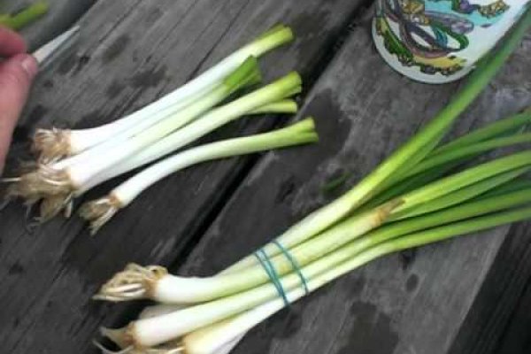 Кракен вход официальная ссылка