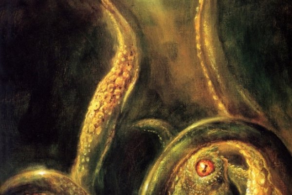 Kraken актуальное