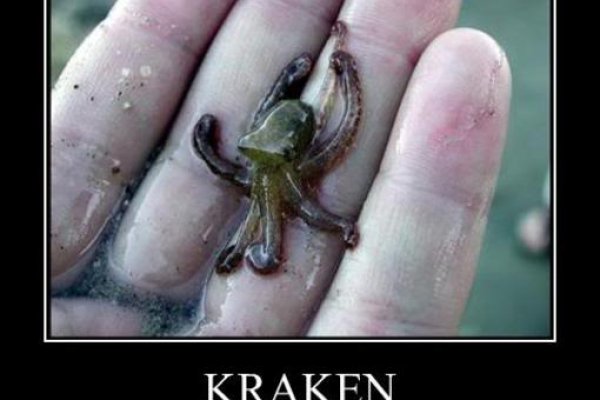 Ссылка на kraken торговая площадка