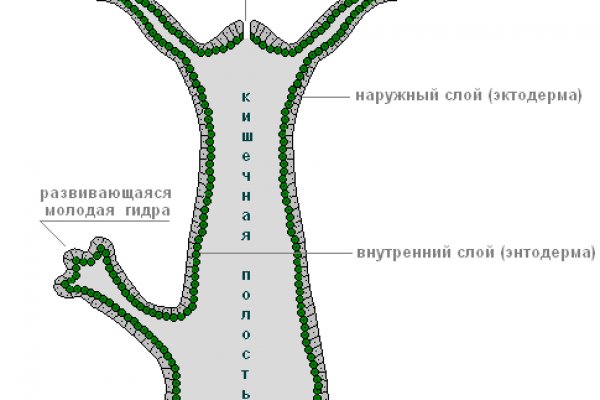 Кракен зеркало сегодня
