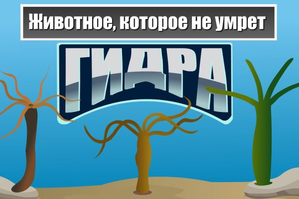Зеркало кракен дарк