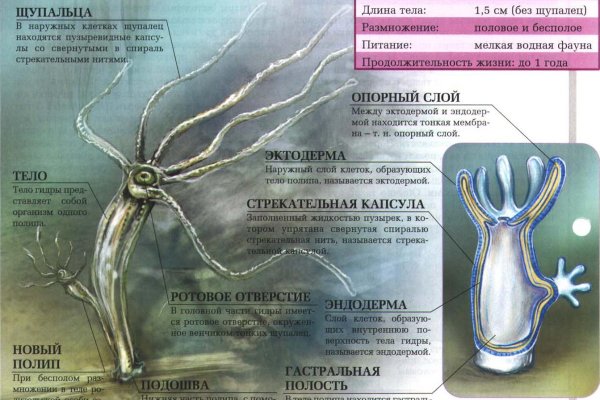 Kra27at