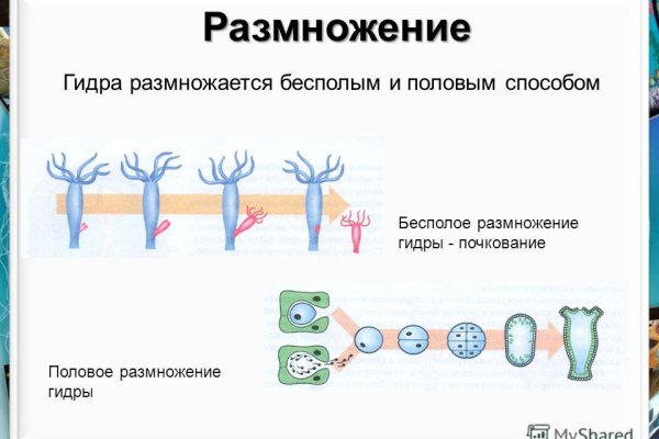 Ссылка кракен kraken torion net