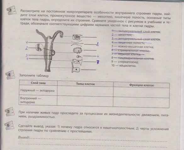 Kraken darknet ссылка тор