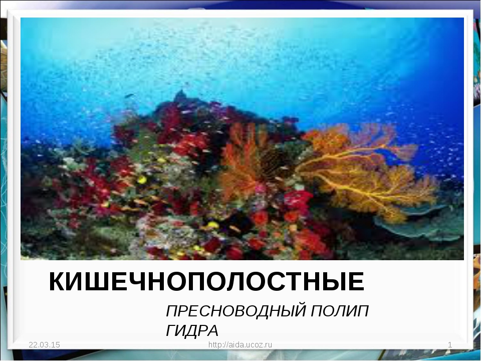 Кракен онион ссылки