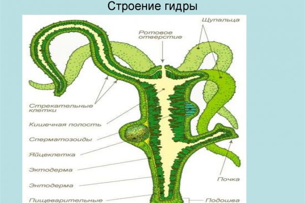 Замена гидры