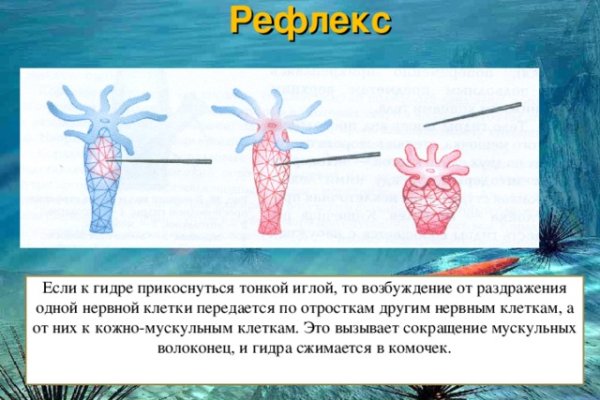 Кракен вывод средств
